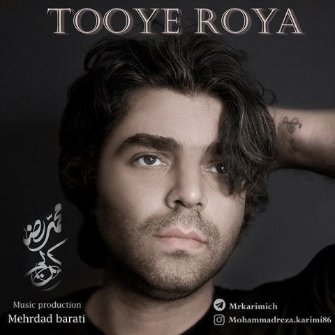 دانلود آهنگ جدید محمدرضا کریمی با عنوان توی رویا